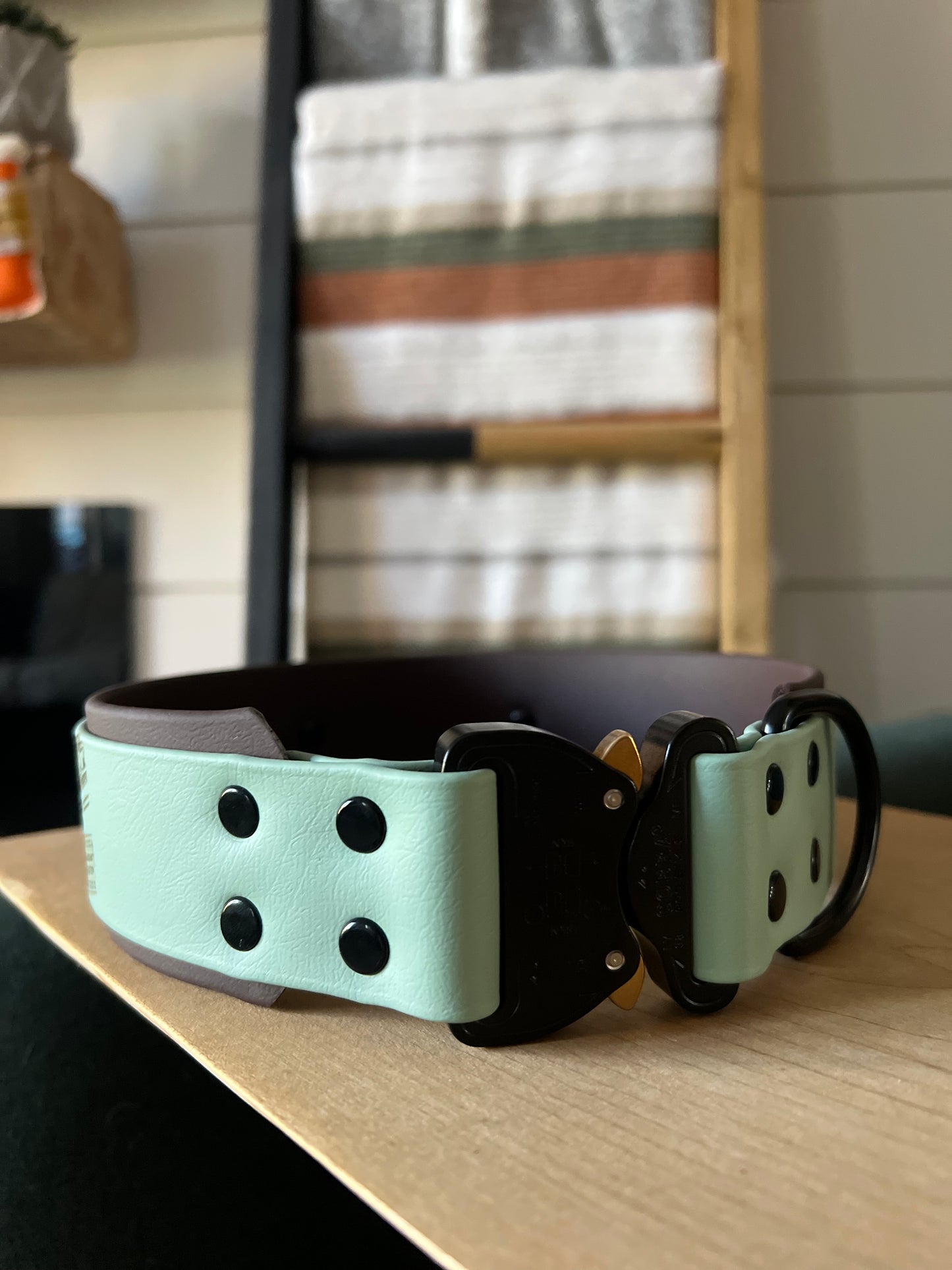 Custom Cobra Buckle Bigger Collar