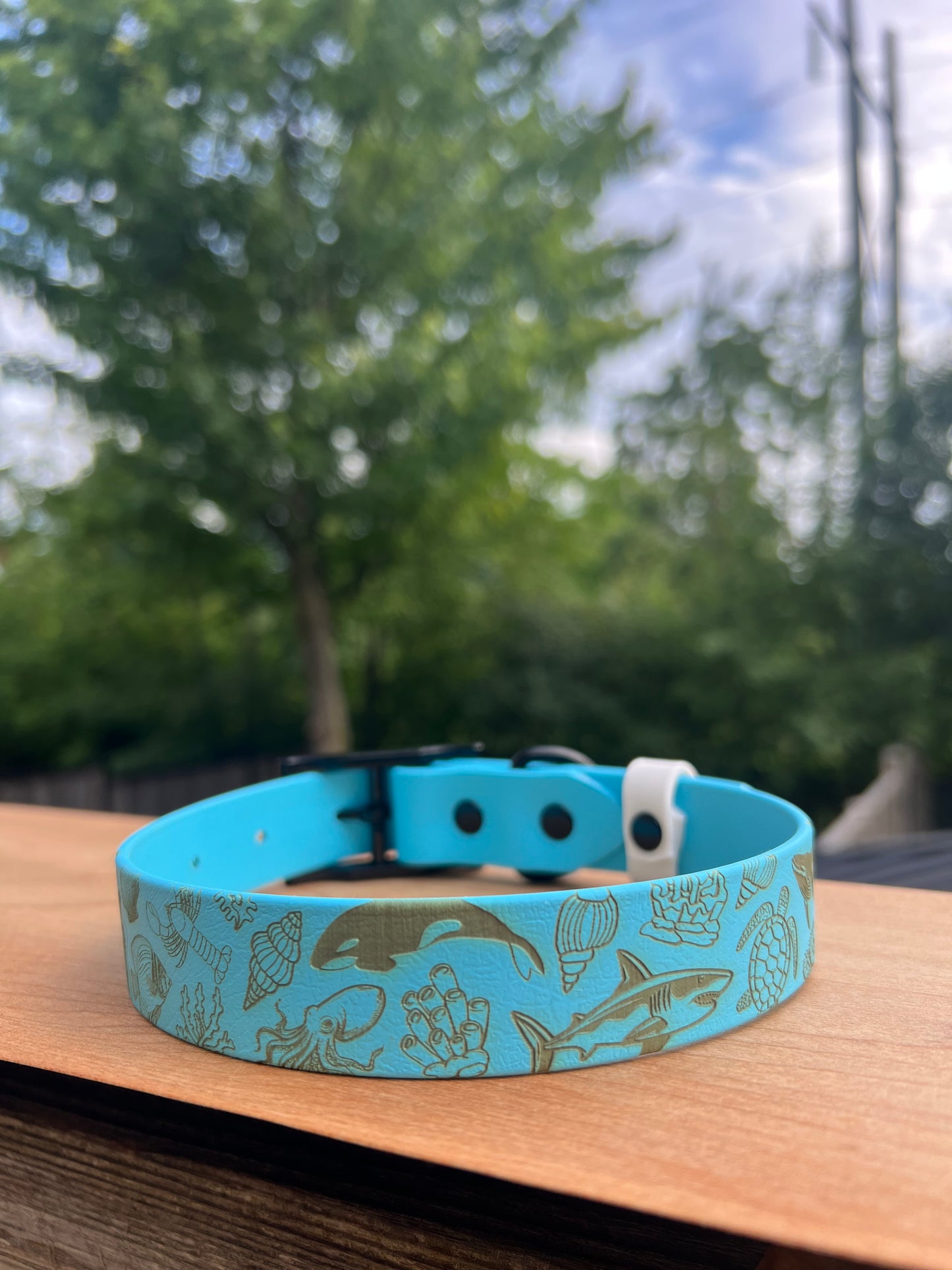 Fully Custom Basic Collar
