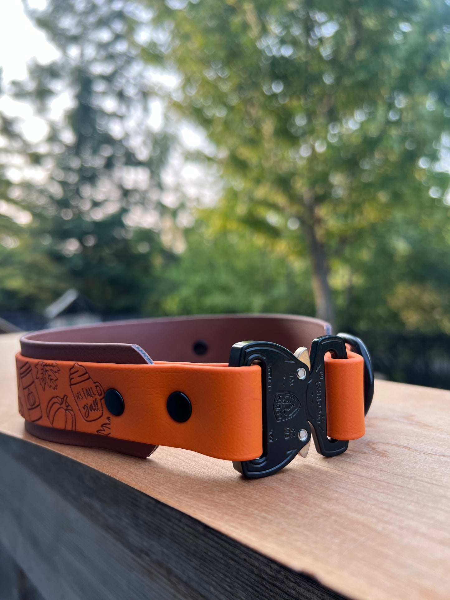 Custom Cobra Buckle Collar