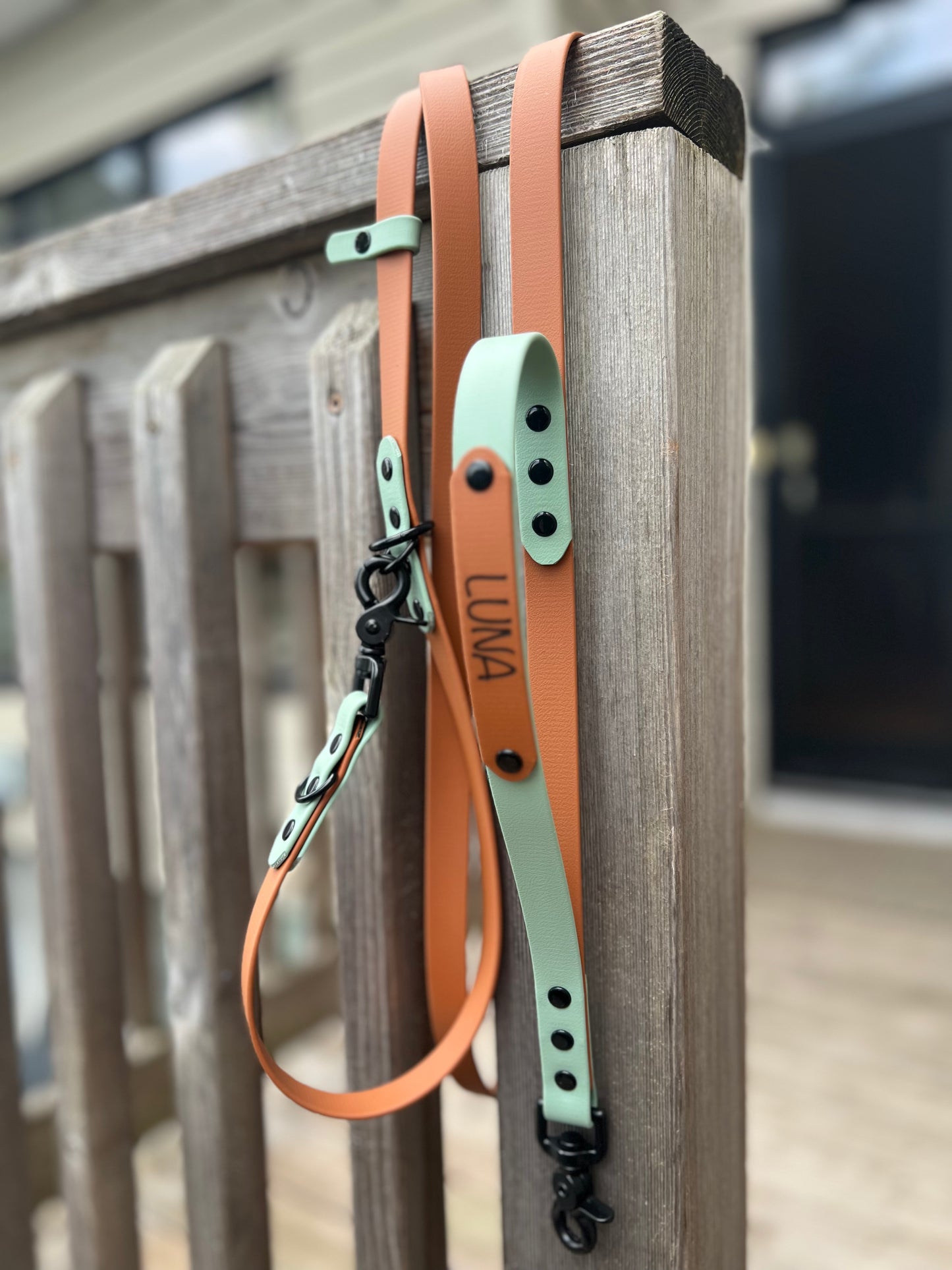 Hands Free Leash