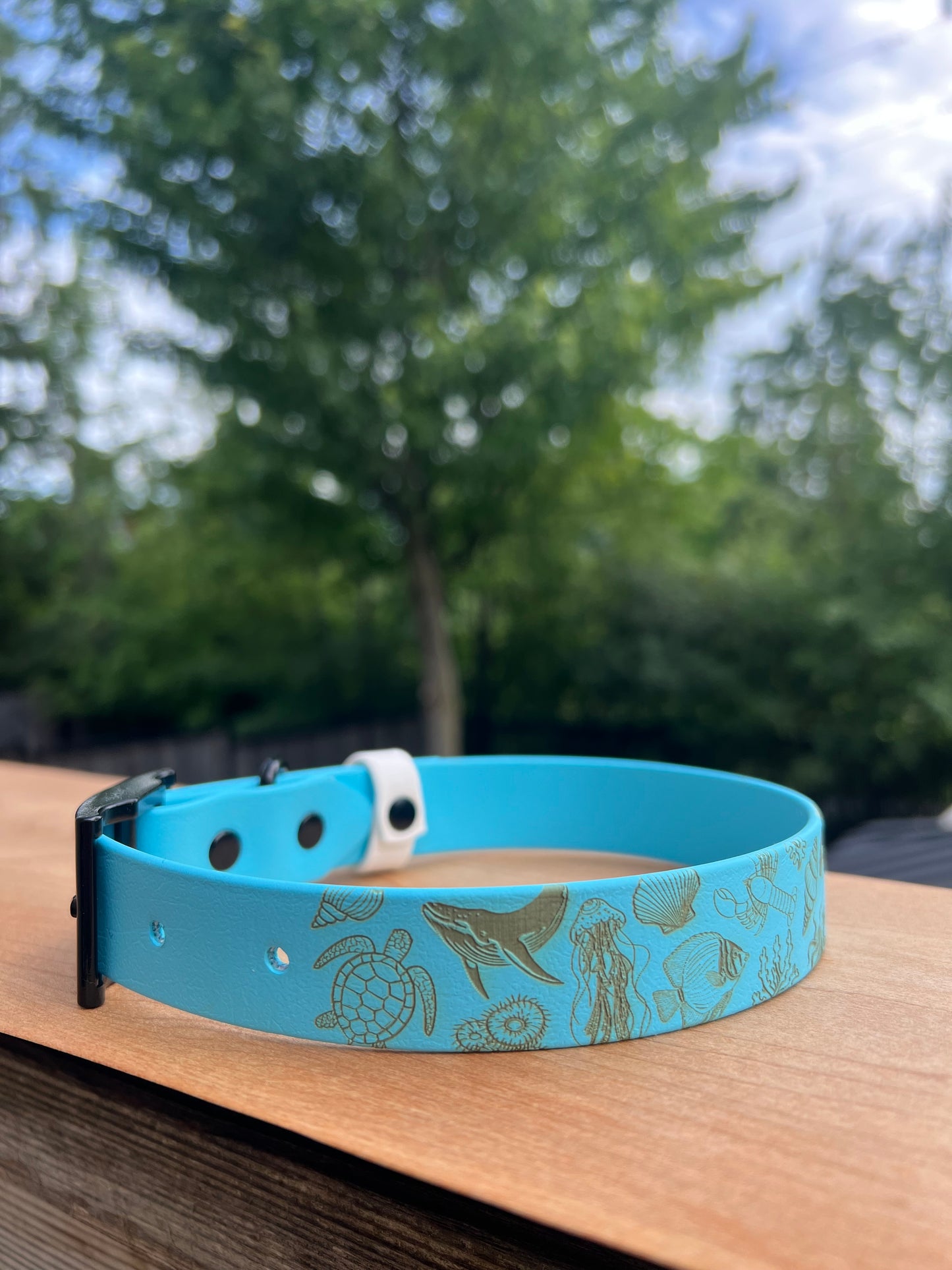 Fully Custom Basic Collar
