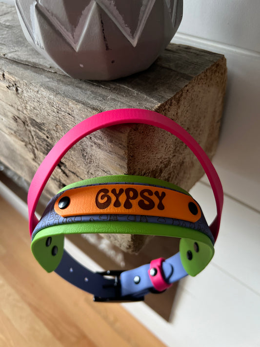 Fully Custom Collar With Handle