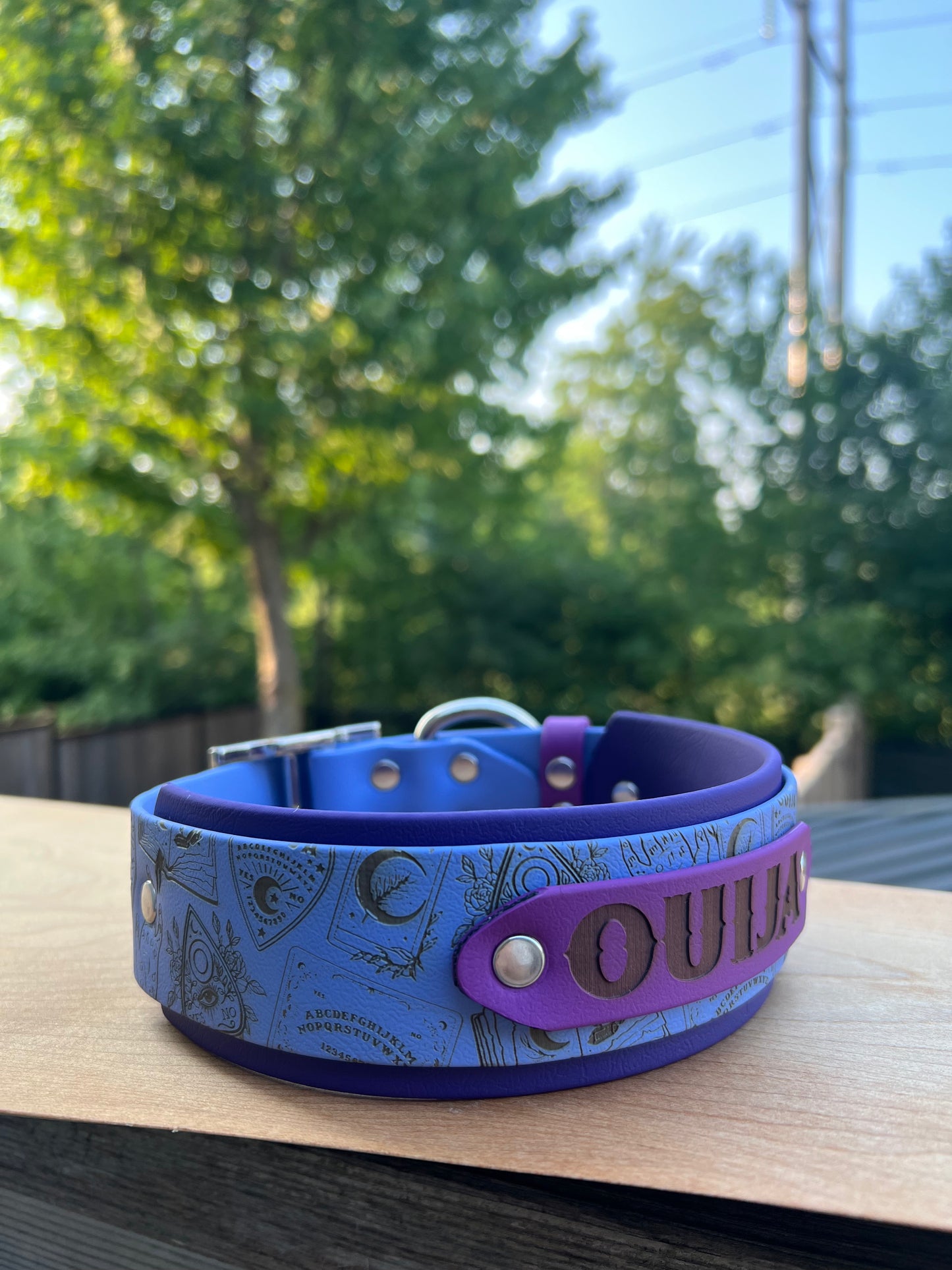 Fully Custom Bigger Collar