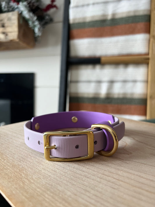 Smaller Collar - 3/4 inch