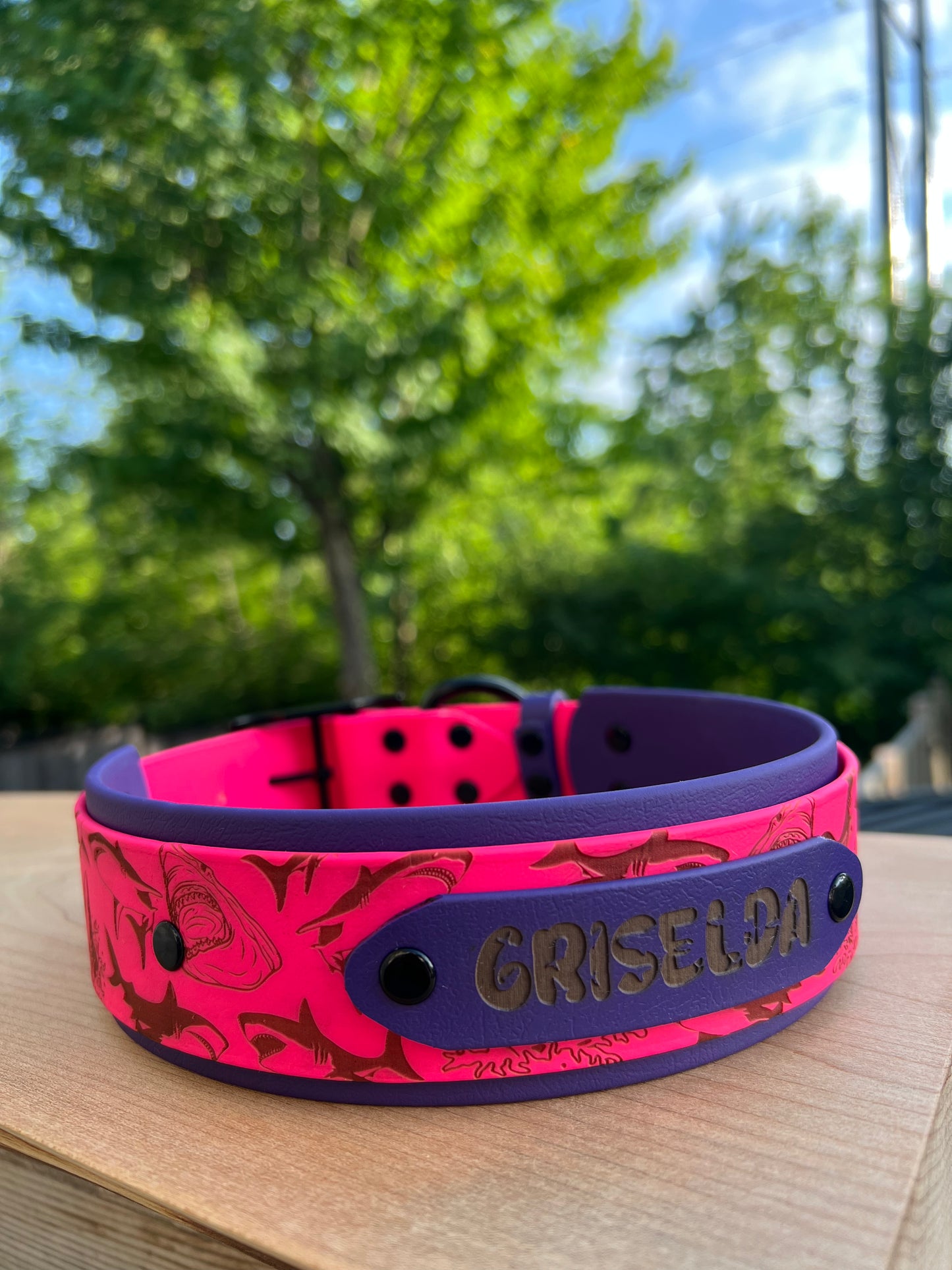 Fully Custom Bigger Collar