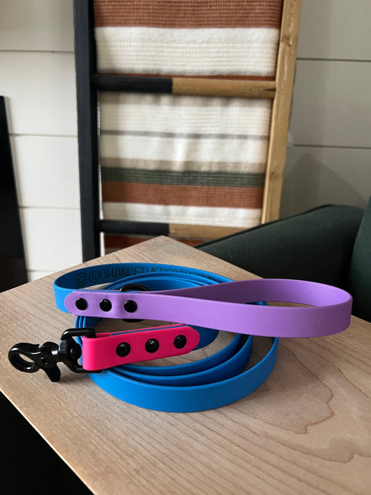 Classic Leash