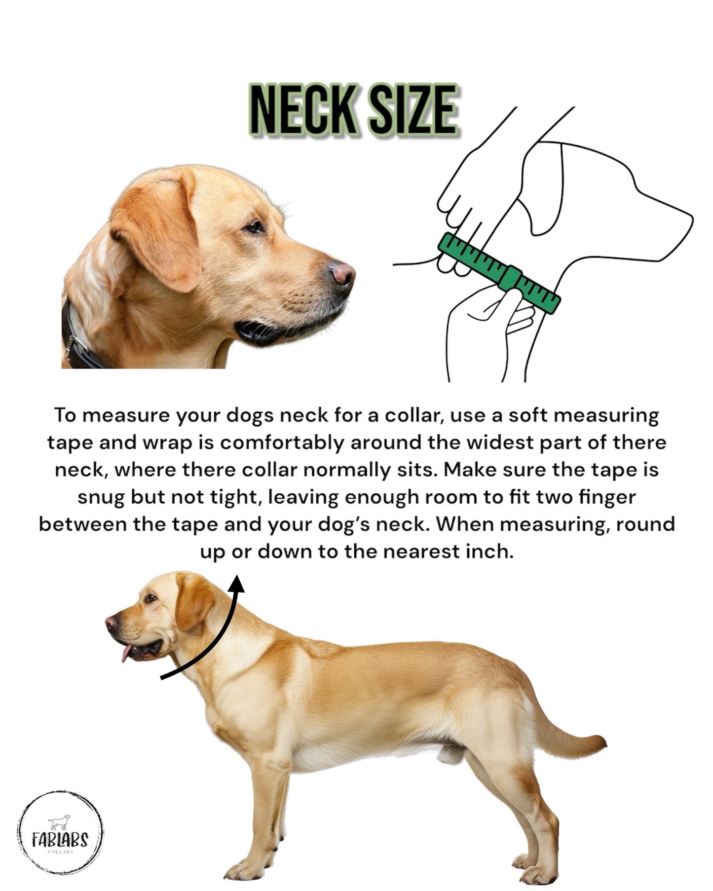 Engraved Double Stacked Collar