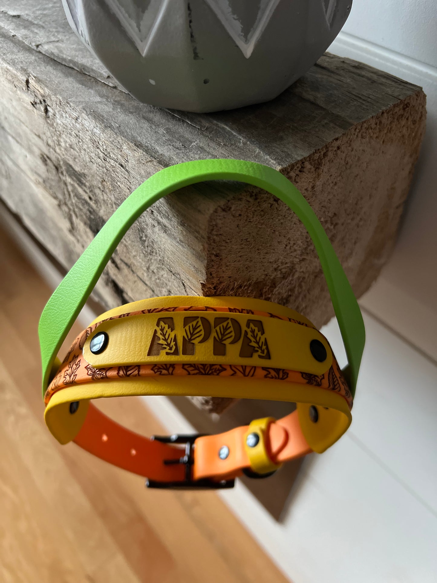 Fully Custom Collar With Handle