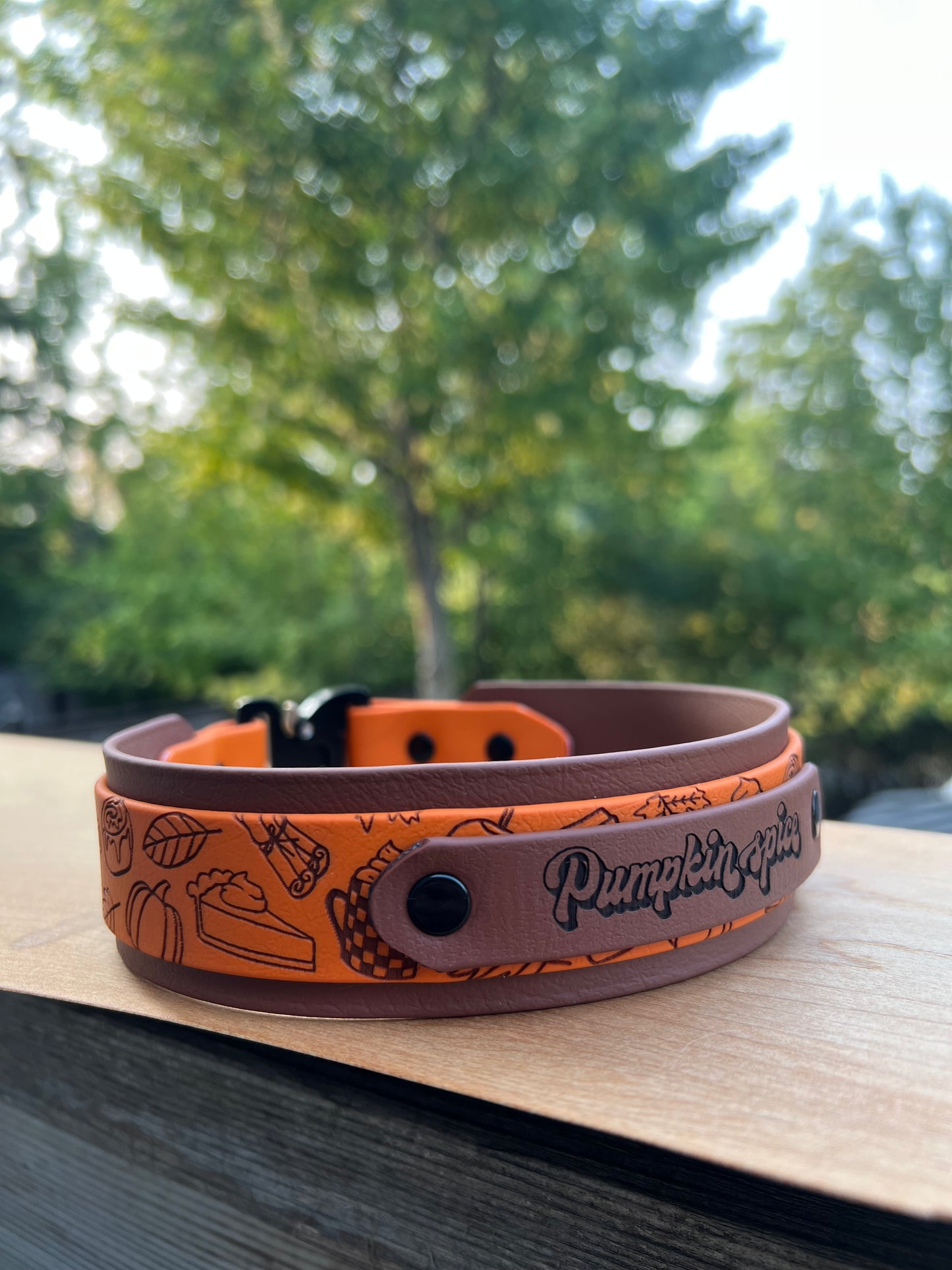 Custom Cobra Buckle Collar