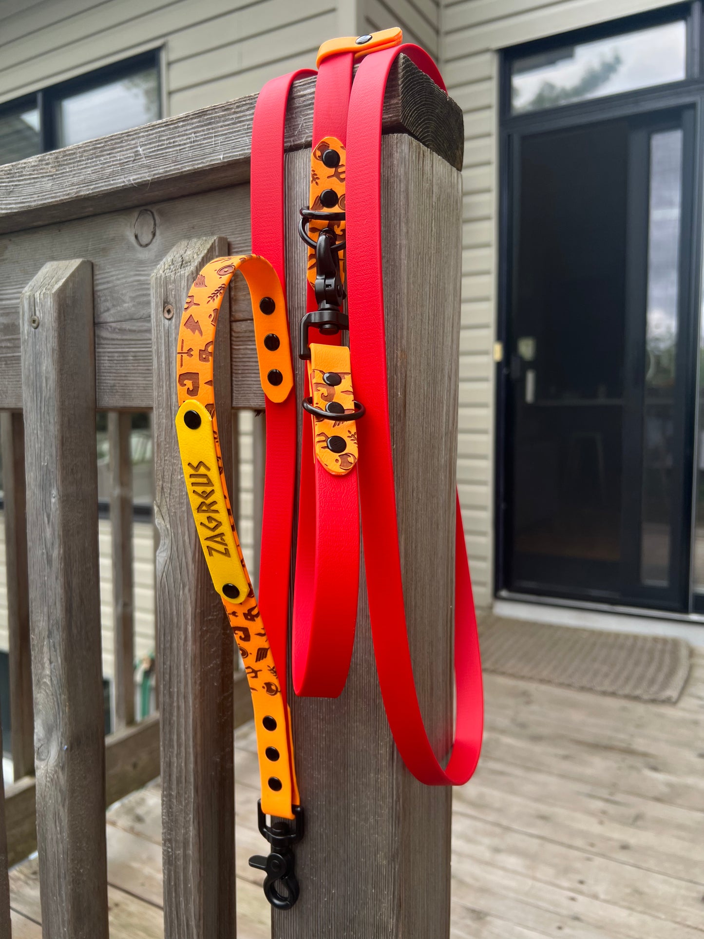 Fully Custom Hands Free Leash