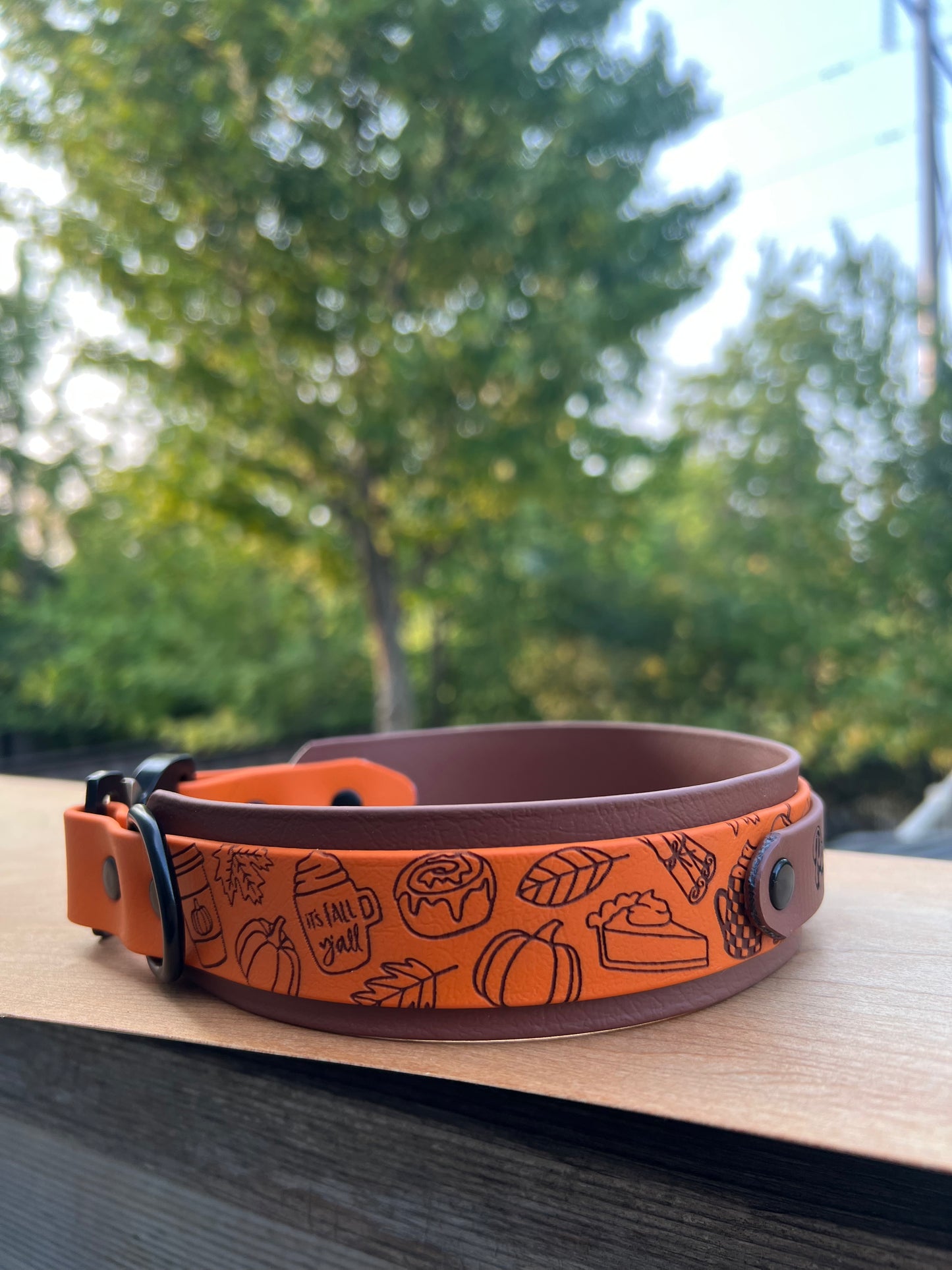 Custom Cobra Buckle Collar