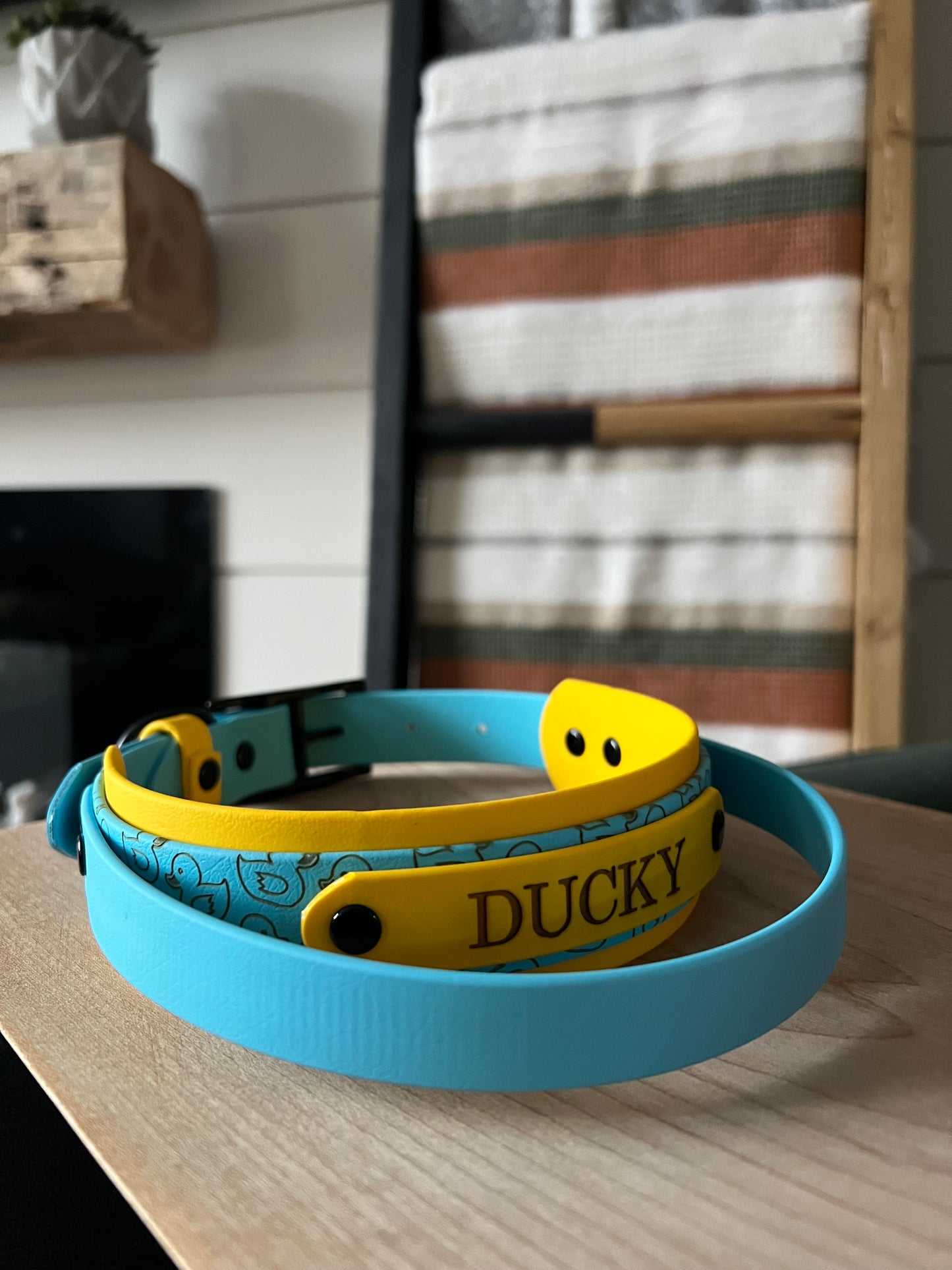 Fully Custom Collar With Handle
