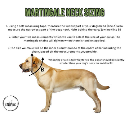 Fully Custom Martingale Collar