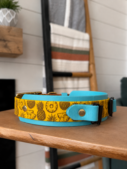 Food and Drink Theme - Pick-A-Pattern - Fi 3/3+ Compatible Double Stacked Collar