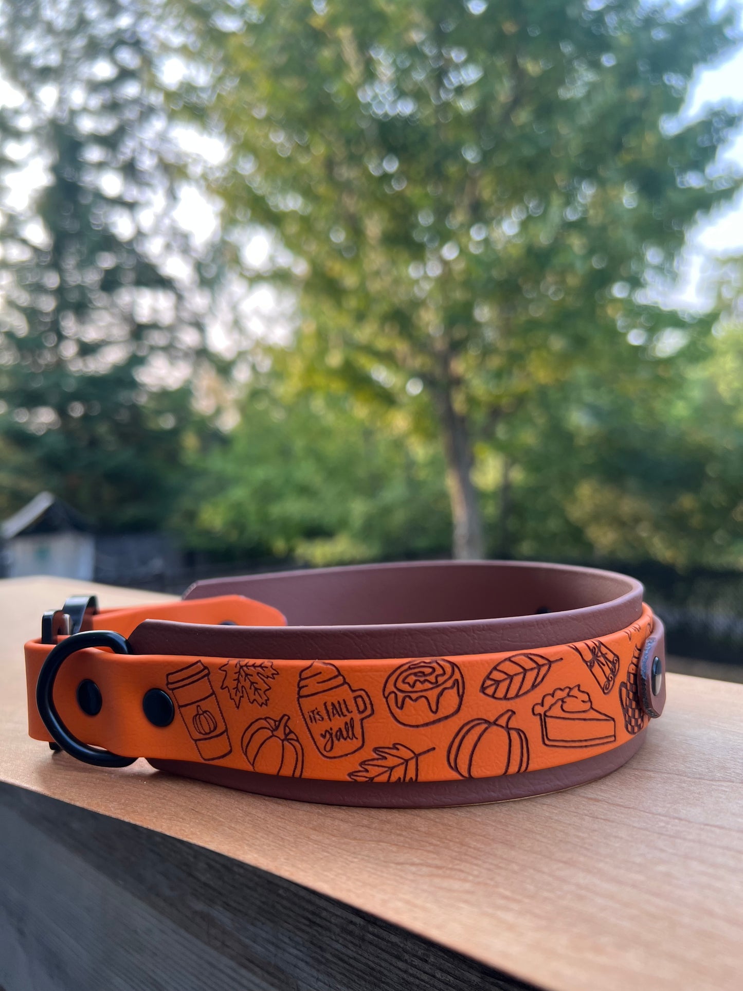 Custom Cobra Buckle Collar