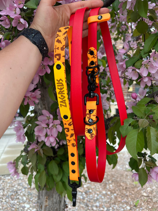 Fully Custom Hands Free Leash