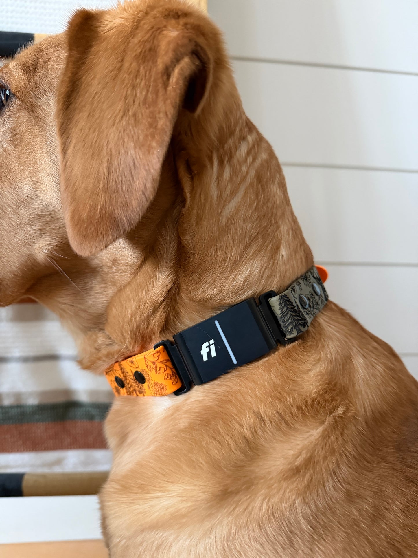 Double empilement - Gravé avec plaque signalétique