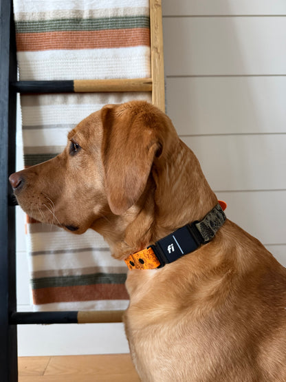Double empilement - Gravé avec plaque signalétique