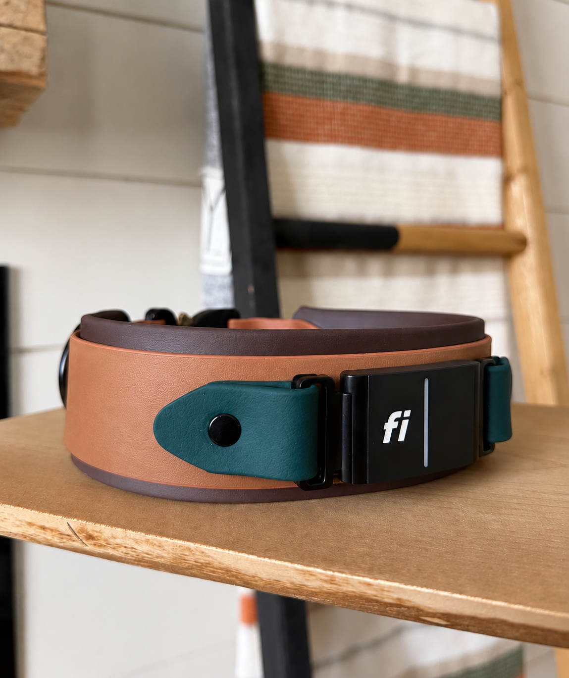 Fi 3/3+ Compatible - Cobra Buckle Collar