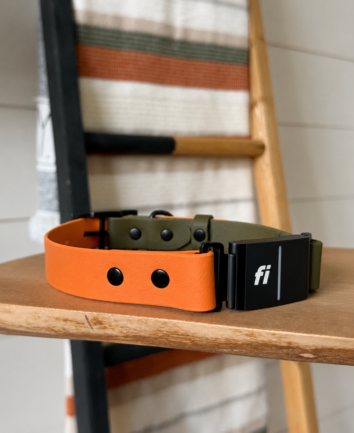 Fi 3/3+ Compatible - Basic Collar