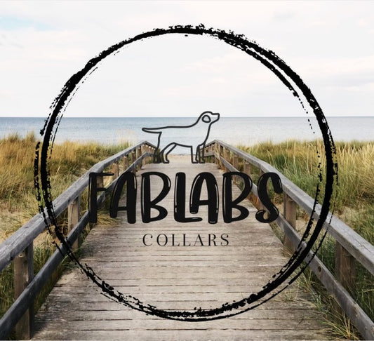 FabLabs Collars Gift Card